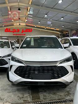 بي واي دي كوين L DM-i